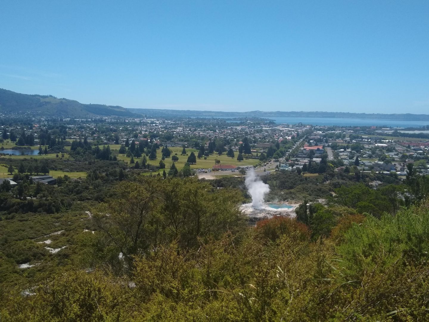 Free Activities in Rotorua this Summer