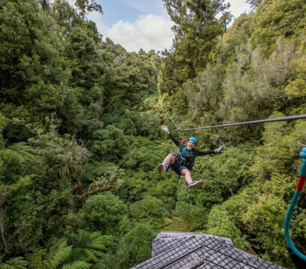 Canopy Tours